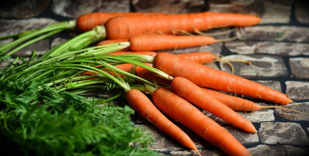 морков хранителни свойства